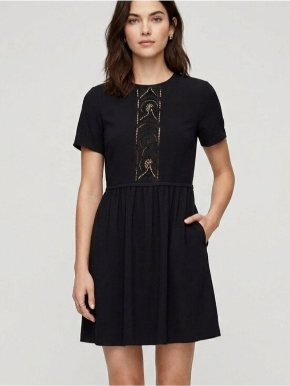 Aritzia Wilfred Embroidered Dress